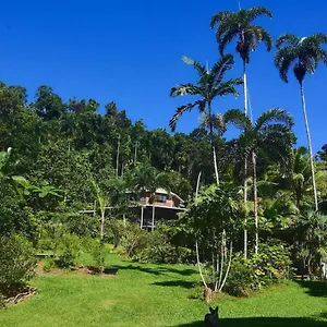Holiday home A Daintree Garden 